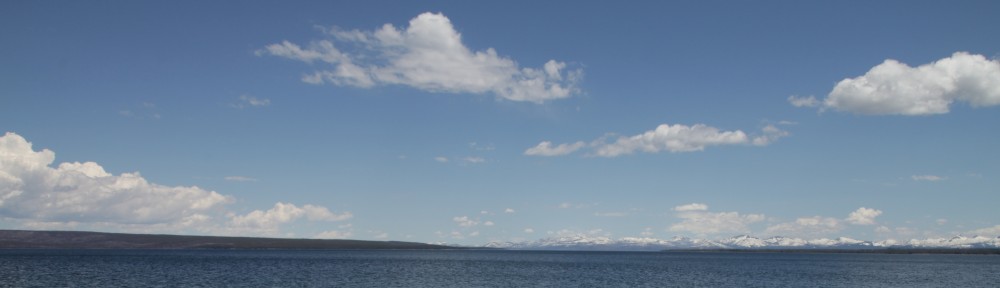 A Table for 1 Productions